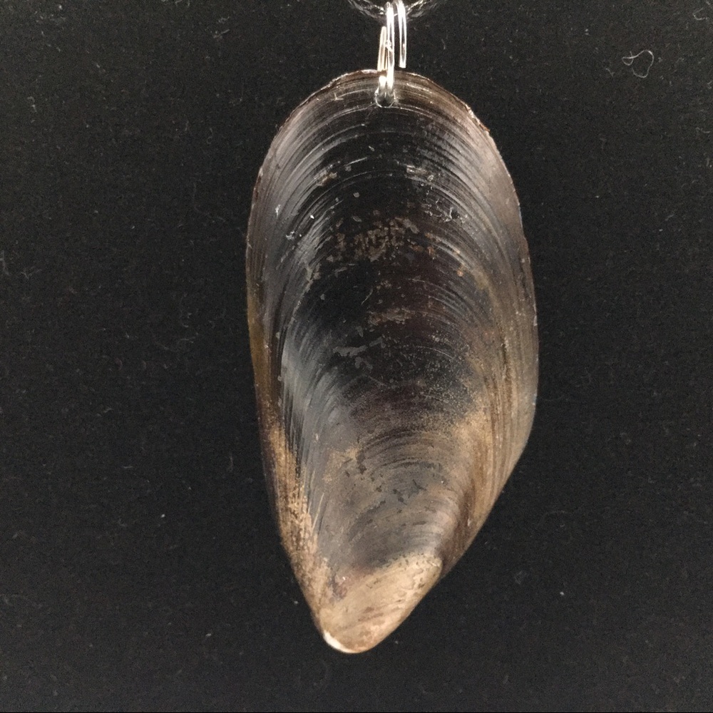 Handmade Shell Necklace - Picture 9 of 11